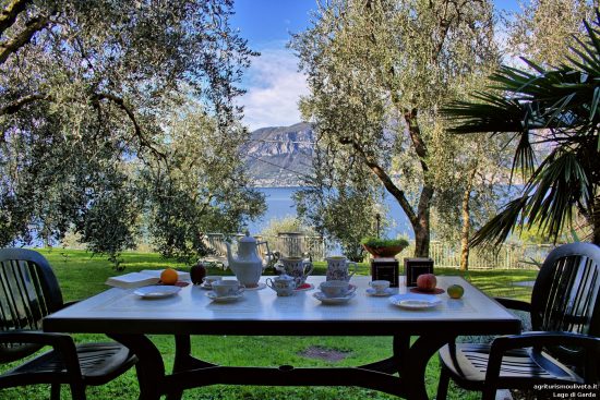 Frühstückstisch auf der Veranda der Ferienwohnung